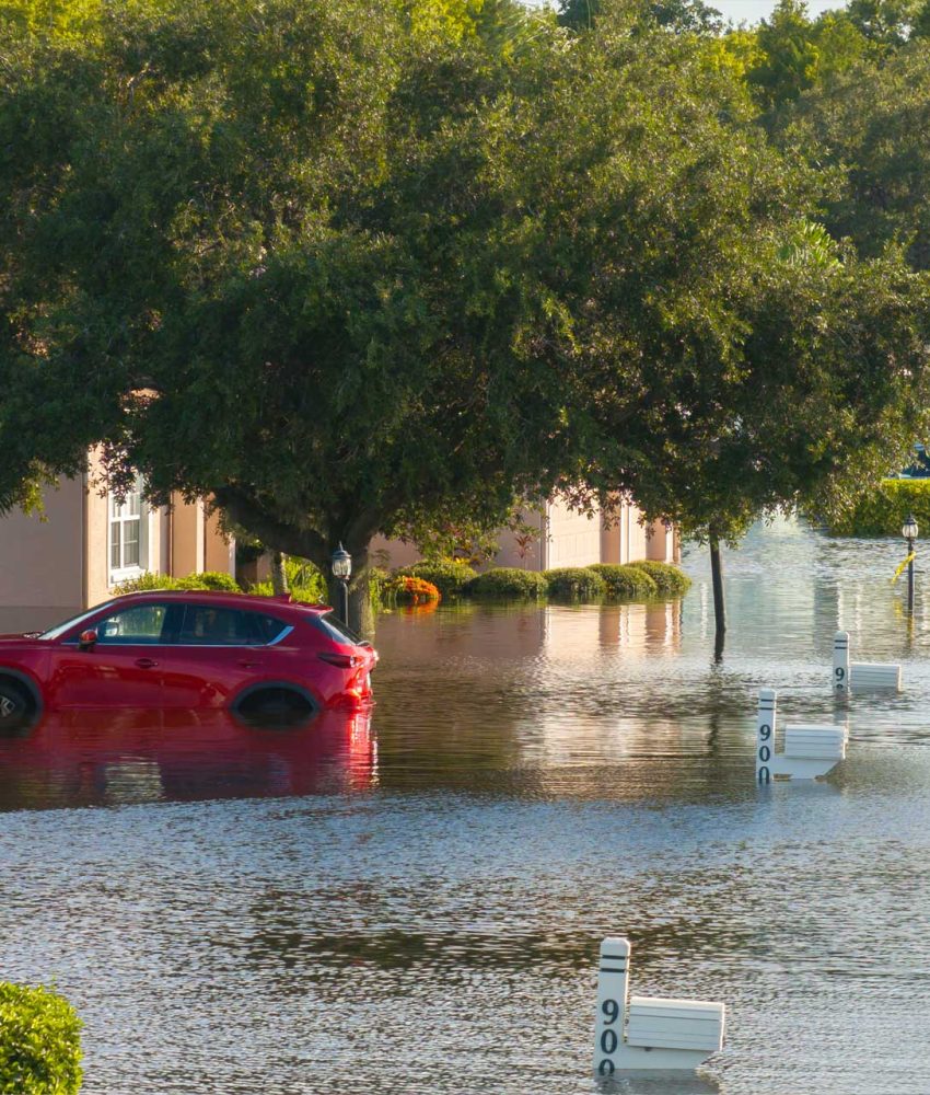 heavy rain damage restoration